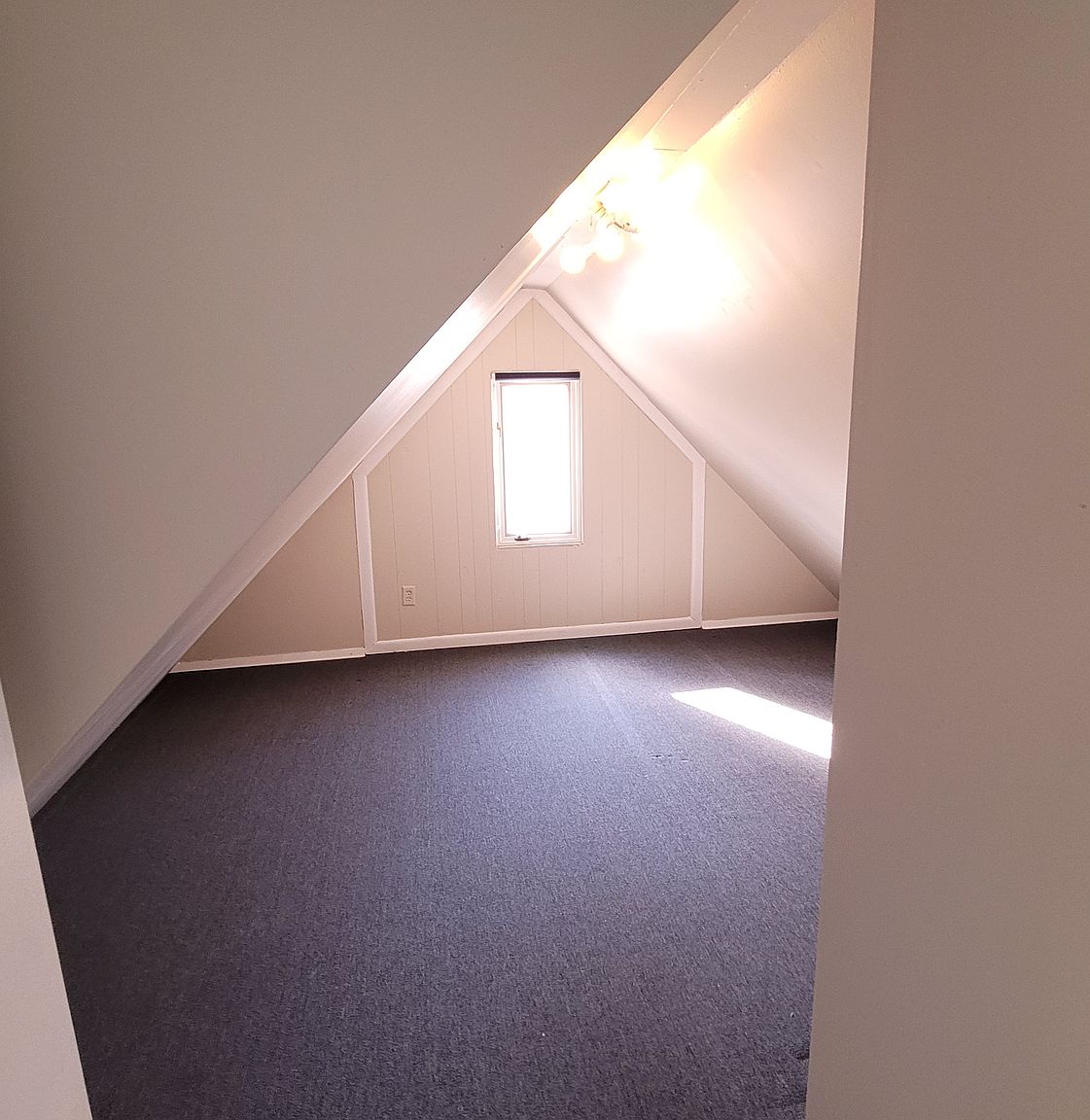 17 Woodland Dr photo 8