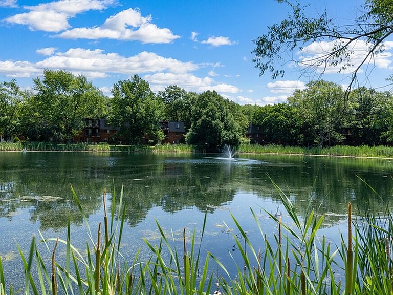 1818 Park West Blvd photo 6