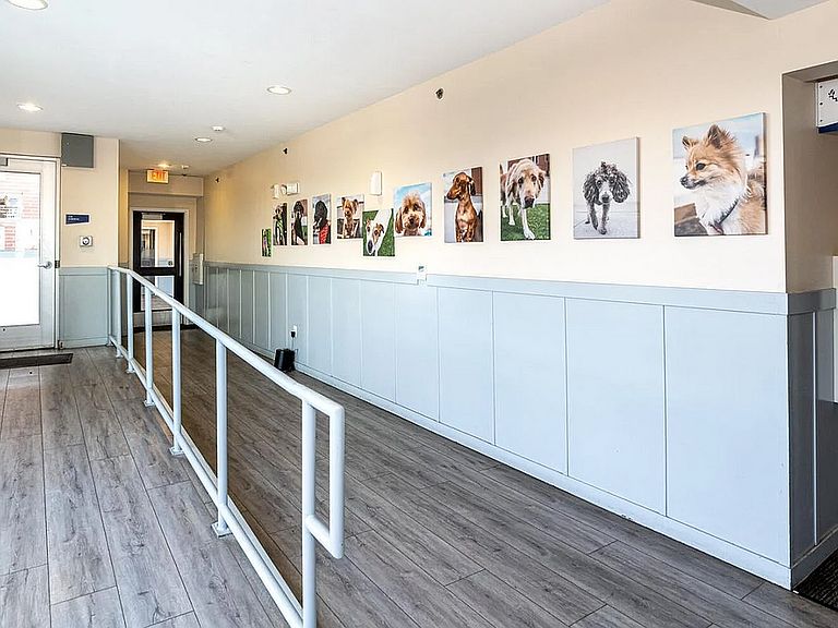 335 W 9th St photo 5