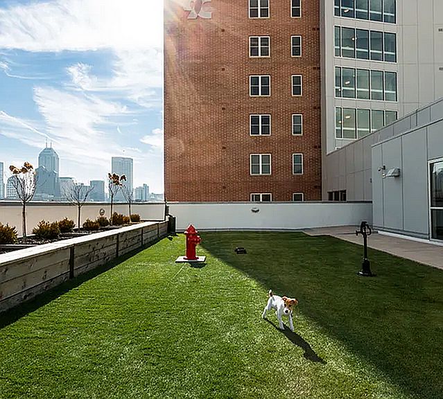 335 W 9th St photo 6