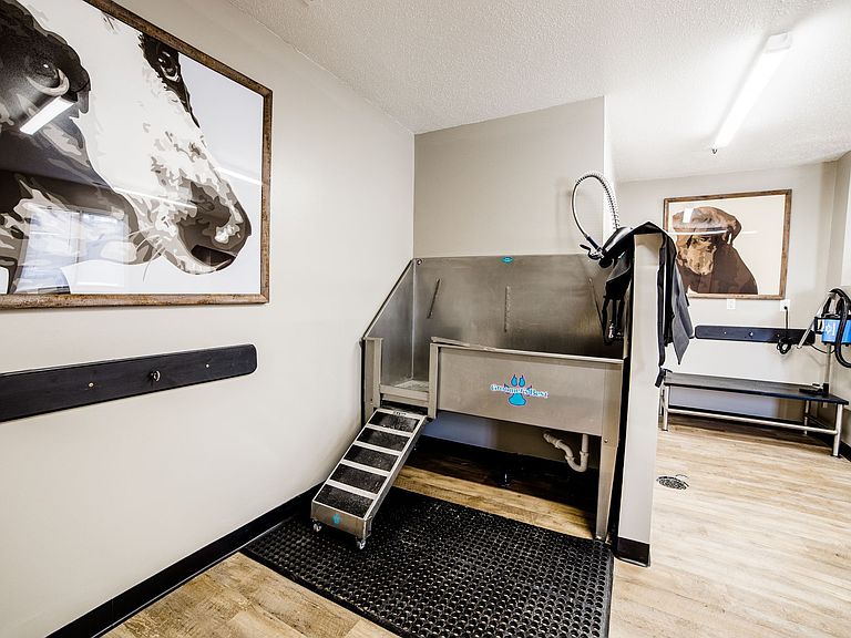 1100 Northlake Dr photo 6